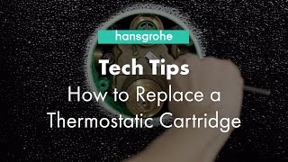 Hansgrohe Tech Tips How to Clean Thermostatic Cartridge [upl. by Notlrahc]