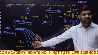 Hemoglobin Oxygen Dissociation Curve II Factor affecting Hb O2 Affinity II Important For NET [upl. by Marilin]