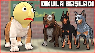 KÖPEK ÇETESİ OKULA BAŞLADI 😱  Minecraft [upl. by Anilok244]