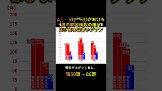 松山市動物愛護センター引き取り拒否問題2024年9月20日）松山市 松山市議会 [upl. by Greene664]