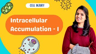 Intracellular accumulations  Part 1 [upl. by Honig]