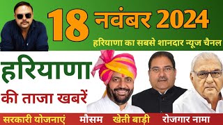 18 November 2024 Haryana News  हरियाणा की खबरें  Hindi News  MD Hindi News। [upl. by Verene]