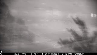 Tallahassee Tornado Captured On Trail Camera [upl. by Euqinna416]