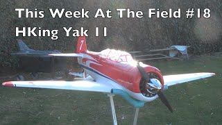 This week at the field 18 HKing Yak 11 Racer [upl. by Bixby760]