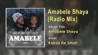 Kabza De Small FT Leehleza  Amabele Shaya Radio Mix Official Song Audio  South Africa Music [upl. by Aehcim]