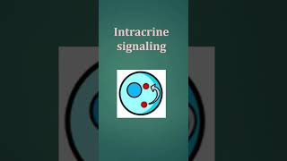 Types of cell signaling [upl. by Elatnahs532]