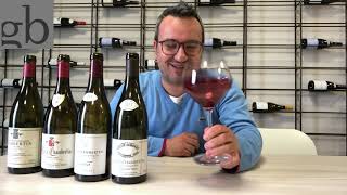 La genialità dei vini Gevrey Chambertin [upl. by Urias]