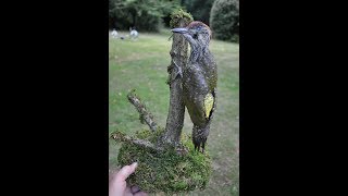 Green woodpecker  Taxidermy the simple way [upl. by Gayla]