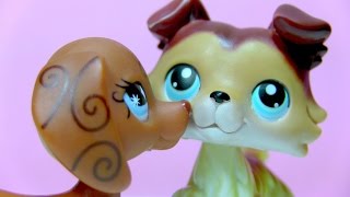 Littlest Pet Shop Sweetheart Episode 19 This Changes Everything [upl. by Urania840]