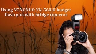 Using budget flash gun YN560 11 on bridge cameras [upl. by Neumark485]