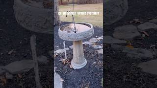 Ice Stalagmite Forms at the Birdbath birdbath backyard ice stalagmites [upl. by Renfred]