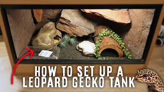 A Beginners Guide To Setting Up A Leopard Gecko Tank [upl. by Hobart]