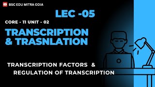 Transcription factors and regulation of transcription  lec 05 [upl. by Rorry]