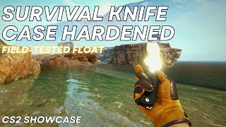 Survival Knife Case Hardened FieldTested  CS2 Skin Showcase 797 [upl. by Eesak]