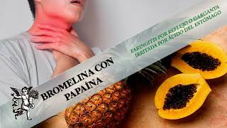 BROMELINA Y PAPAÍNA DOS PODEROSAS ENZIMAS OCULTAS EN LA PIÑA Y LA PAPAYA [upl. by Aenert107]