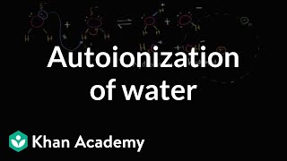 Autoionization of water  Water acids and bases  Biology  Khan Academy [upl. by Yenterb872]