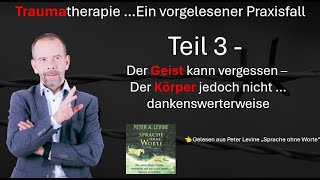 Der Geist kann vergessen  der Körper aber nicht  Teil 3 Traumatherapie [upl. by Ellenoj]