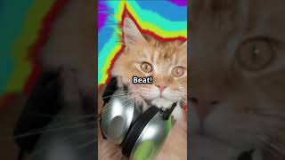 Keddy bullon high jump facts teddybear funny cat cartoonmovies facebookviral trending [upl. by Marsiella765]