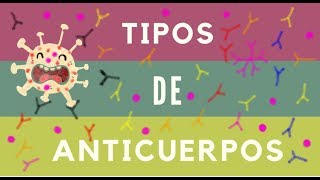 TIPOS DE ANTICUERPOS [upl. by Ait390]