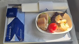 Aegean Airlines Business Class  Airbus A320SL  Flight A3255 Mytilene  Athens [upl. by Yeo459]