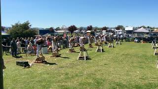 Woodchopping Final 300mm Tasmanian Underhand Championship Longford Show 191024 [upl. by Edin]