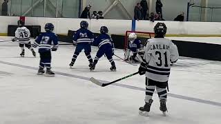 D Yale jr bulldogs hockey 10 19 24 [upl. by Lally86]