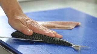 How To Fillet A Mackerel [upl. by Becket]