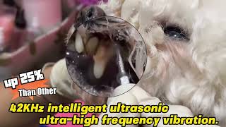 PAWZIDEA Ultrasonic Tooth Cleaner Your Dog’s Oral Care Expert Give It Healthy Teeth amp Fresh Breath [upl. by Beker]