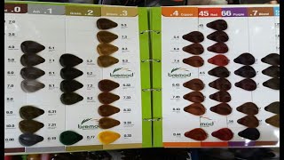 Bremod Hair Color Shade Introduction By The Stylish Mod [upl. by Anayeek]