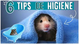 TIPS de HIGIENE para HAMSTER [upl. by Talia]