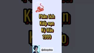 Phân tích kiếp nạn kỷ Mão 1999 [upl. by Urbanna]