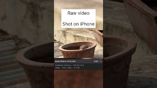 iPhone Footage Raw vs Edited iphone video [upl. by Hteb]