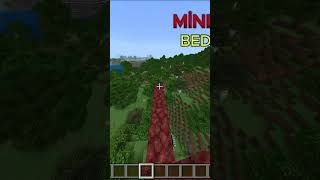 Minecraft Bedrock Version VS Minecraft Java Version minecrafttürkiye [upl. by Julius]