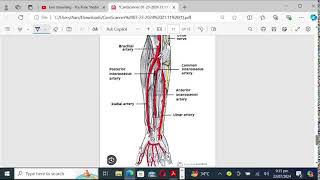 RAFIULLAH ABDOMEN AND PELVIS ANATOMY PART 3 rapid review by Dr QANDEEL [upl. by Ikcaj]