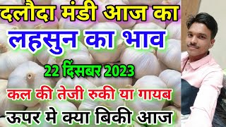 दलौदा मंडी आज का लहसुन का भाव 22 दिसंबर 2023 garlic rate today daloda aaj ka lahsun ka bhav [upl. by Einreb]