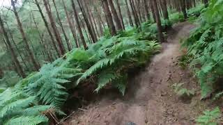 Full Run Longslade Trail in Woburn Trails [upl. by Swithin195]