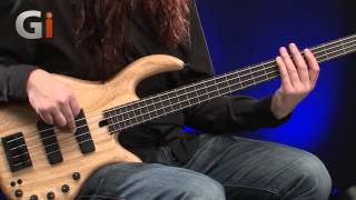 Guitar Interactive Elrick Expat eVolution 4String Fretless Bass Review [upl. by Bealle]