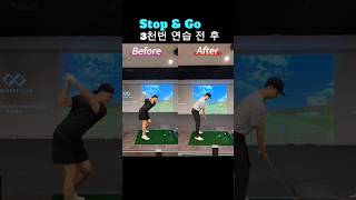 STOPampGO 3천번 한 결과 ⛳️ 🏌️‍♀️ 정우재프로 지오골프클럽 타이거우즈 골프 골프스윙 연습스윙 [upl. by Germaun]