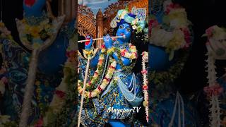 Todays Chandan Yatra Day 7 Darshan 20240516 mayapurtv [upl. by Collete]