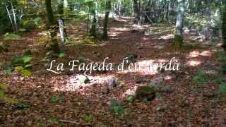 Un día en La Fageda den Jordà [upl. by Valer]