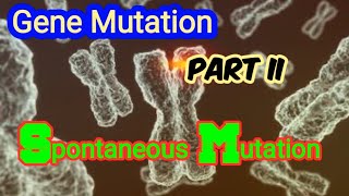 Spontaneous Mutation Depurination amp Deamination of DNA  Gene Mutation [upl. by Aneret]