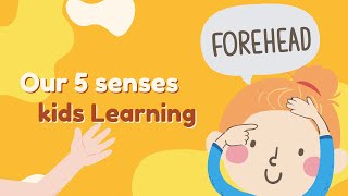 Our five senses kidslearning with cartoonanimated bodyparts [upl. by Bhayani801]