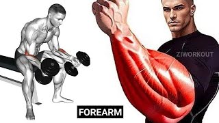 FOREARM WORKOUT  BIG ARMS WORKOUT AT HOME  Grow your Wrist Thicker  How to get Bigger Forearms [upl. by Verbenia747]