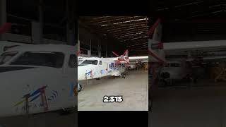 Pesawat N219 Buatan Anak Bangsa 🇮🇩 pesawat buatanindonesia [upl. by Jaworski293]