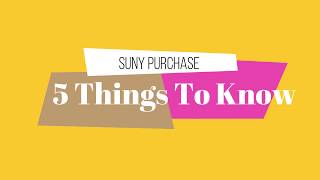 5 Things To Know SUNY Purchase Style [upl. by Nolana784]