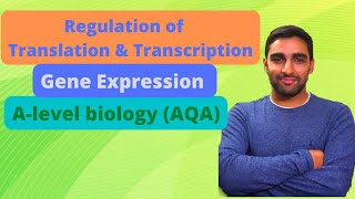 Regulation of transcription amp Translation  Alevel Biology [upl. by Enayr]