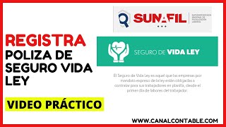 ✅ ¿CÓMO REGISTRAR POLIZA DE SEGURO VIDA LEY OBLIOGATORIO PARA LA EMPRESAS PRIVADAS🔥 [upl. by Chita]