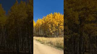 A day at Kenosha Pass colorado fall outdoors [upl. by Semaj868]