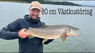 Monsteröring på Västkusten 80cm Flugfiske med sjunklina [upl. by Higley]