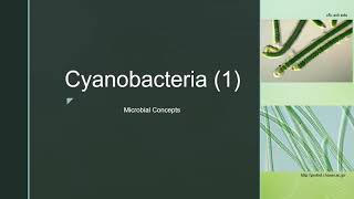 Cyanobacteria 1  Blue Green Algae Cell structure  Examples  Reproduction [upl. by Ati]